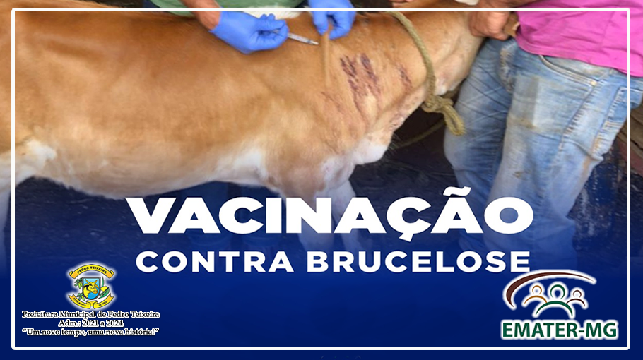 Você está visualizando atualmente Foi iniciado em 08 de fevereiro a vacinação contra a Brucelose